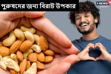 রোজ ঘুম থেকে উঠে খান ২টো করে বাদাম! পুরুষদের জন্য লুকিয়ে থাকে বিরাট ৫ উপকার