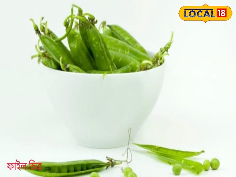শীতকাল মানেই সবুজ খোসার ভিতর ছোট্ট ছোট্ট মিষ্টি দানার মটরশুঁটি খেতে কে না ভালোবাসে বলুন! মটরশুঁটি স্বাদে যেমন অসাধারণ তেমনইতার মধ্যে রয়েছে একাধিক গুণ। (রিপোর্টার--সৌভিক রায়)