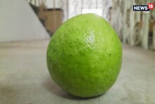 বয়কট করলেন বিজেপি বিধায়করা, বিধানসভায় রাজনীতির 'শিকার' বারুইপুরের পেয়ারাও!