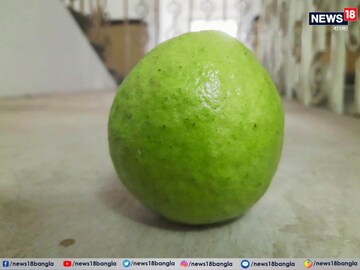 রাজনীতির শিকার পেয়ারাও!
