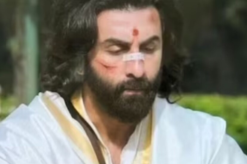 ‘অ্যানিমাল’ ছবিটি নিয়ে দর্শকদের মধ্যে মিশ্র প্রতিক্রিয়া রয়েছে৷ অনেকে এই ছবিটিকে পুরুষ ইগোর জঘন্য প্রদর্শন বলে আক্রমণ করেছেন৷ অনেকে আবার অভিনয়ের দিক থেকে রণবীর কাপুরের ভূয়সী প্রশংসা করেছেন এই ছবি দেখে৷ তবে সব মিলিয়ে বলিউডে নাড়াচাড়া ফেলেছে এই ছবিটি৷ 