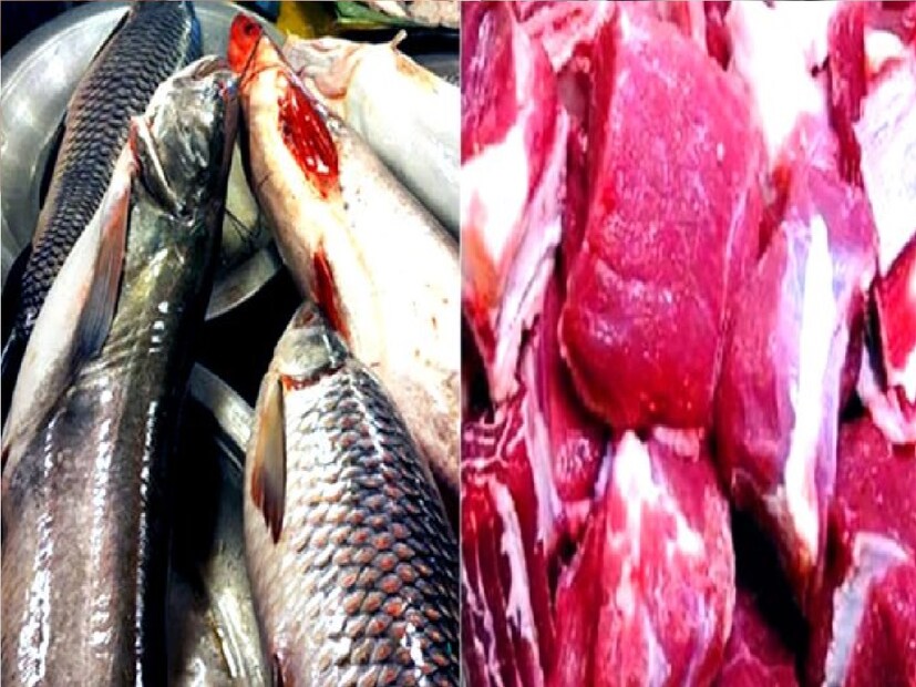 *মাছ, মাংস, পনির, কিসমিস, কাঁচা ছোলা, মুগ ডাল, খেজুর, কমলালেবু খাওয়া যেতে পারে। এই সকল খাবারের মধ্যে প্রচুর পরিমাণে ক্যালসিয়াম রয়েছে। খাদ্য তালিকায় এই সমস্ত জিনিস রাখলেই কেল্লাফতে। তাহলে আর যন্ত্রণার জন্য যেতে হবে না চিকিৎসকের কাছে। সংগৃহীত ছবি।