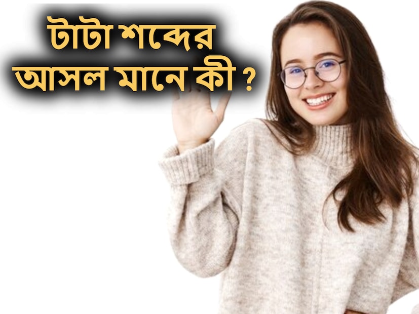 কাউকে বিদায় জানানোর জন্য আমরা বলে থাকি টাটা, গেলাম। কিন্তু এই টাটা শব্দের আক্ষরিক অর্থ কী, অনেকেই কিন্তু তা জানেন না। (প্রতীকী ছবি)