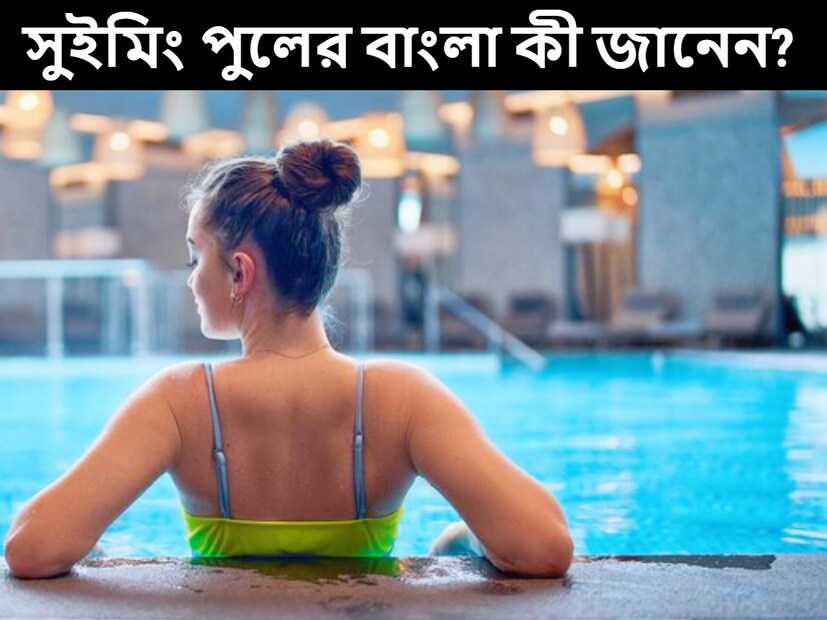 উইকিপিডিয়া ঘাটলেই দেখা যাবে যে সুইমিং পুলের প্রচলন হালে নয়, বরং বহু পুরনো ছিল। স্নানাগার হিসাবেই তখন পরিচিত ছিল। (প্রতীকী ছবি)