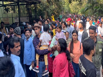 ডিসেম্বরের প্রথম সপ্তাহ থেকেই রেকর্ড ভিড় চিড়িয়াখানায়