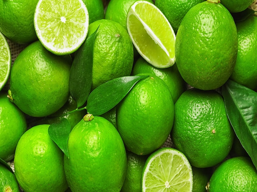 শীতকালে সর্দি-কাশি বা সারা বছরই শরীরে ভিটামিন সি-এর উৎস হিসেবে লেবু খুবই উপকারী। তা ছাড়াও এর অন্যান্য কার্যকারিতাও রয়েছে, যে কারণে রোজকার খাবারের পাতে একটা করে লেবু রাখা আবশ্যিক। (Disclaimer: এই প্রতিবেদনটি কেবলমাত্র সাধারণ তথ্যের জন্য, তাই বিস্তারিত জানতে হলে সর্বদা বিশেষজ্ঞের পরামর্শ নিন।)