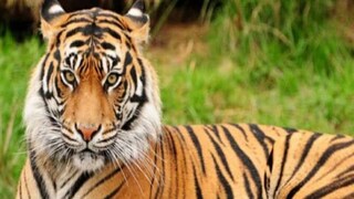 প্রতীকী ছবি