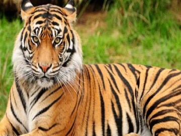 প্রতীকী ছবি
