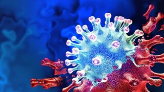 JN.1 করোনা সংক্রমণ নিয়ে আরও আতঙ্ক বাড়ছে৷ কারণ, ক্রমে সংক্রমণ বাড়ছে এই করোনার প্রজাতির৷ আর তাতেই চিন্তা বাড়ছে প্রশাসনের৷ নতুন প্রজাতির করোনার সর্বোচ্চ সংক্রমণ ঘটেছে কর্ণাটকে৷ (প্রতীকী ছবি) JN.1 করোনা সংক্রমণ নিয়ে আরও আতঙ্ক বাড়ছে৷ কারণ, ক্রমে সংক্রমণ বাড়ছে এই করোনার প্রজাতির৷ আর তাতেই চিন্তা বাড়ছে প্রশাসনের৷ নতুন প্রজাতির করোনার সর্বোচ্চ সংক্রমণ ঘটেছে কর্ণাটকে৷ (প্রতীকী ছবি)