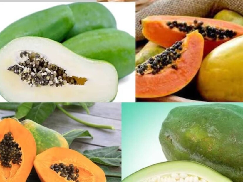 কাঁচা এবং পাকা দু’ রকমের পেঁপেই পুষ্টিগুণের ভাণ্ডার। যে কোনও ভাবে খেলেই উপকার পাওয়া যায়।