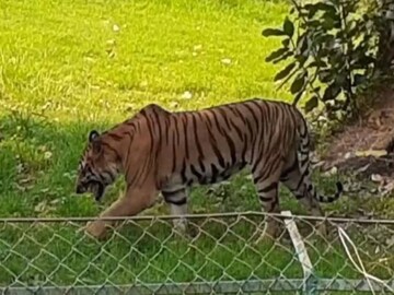 বছরশেষে বড়দিন ও নতুন সাল আসার আগের ছুটিতে আলিপুর পশুশালায় উপচে পড়ে দর্শনার্থীদের ভিড়