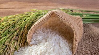 অতিরিক্ত শর্করার মাত্রা থাকা সত্ত্বেও ভাত আপনার ওজন বৃদ্ধির কারণ হবে না অতিরিক্ত শর্করার মাত্রা থাকা সত্ত্বেও ভাত আপনার ওজন বৃদ্ধির কারণ হবে না