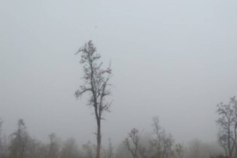 আগামী ২৪ ঘন্টায় দার্জিলিং এবং কালিম্পংয়ে হালকা বৃষ্টি। হালকা তুষারপাতের সম্ভাবনা দার্জিলিংয়ের উঁচু এলাকায় সান্দাকফু-সহ সংলগ্ন এলাকায়। তুষারপাত হতে পারে সিকিমের পার্বত্য এলাকাতে। (প্রতীকী ছবি)