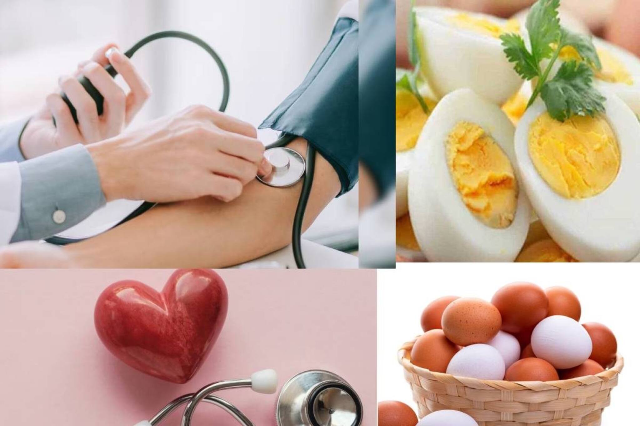 হাই প্রেশার ও হৃদরোগে ডিম খাওয়া নিরাপদ? খেলেও রোজ ক’টা করে? জানুন চিকিৎসকের মত