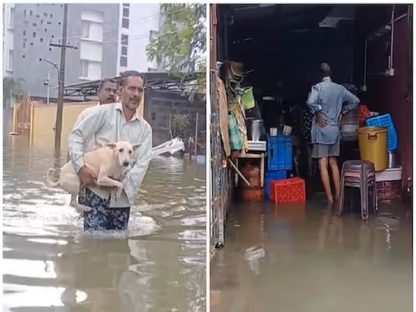 ল্যান্ডফলের আগেই প্রবল বৃষ্টিতে তামিলনাড়ুতে ঘূর্ণিঝড় 'মিগজাউমে'-র প্রভাবে 8 জনের মৃত্যু হয়েছে বলে জানা গিয়েছে। তামিলনাড়ুর মুখ্যমন্ত্রী এম কে স্ট্যালিন জানিয়েছেন, এ বারের বৃষ্টি ইতিমধ্যেই ২০১৫ সালের রেকর্ড ছাপিয়ে গিয়েছে৷ তামিলনাড়ু জুড়ে একাধিক জায়গায় বন্যা পরিস্থিতির আশঙ্কা করা হচ্ছে বলে সূত্রের খবর৷ 