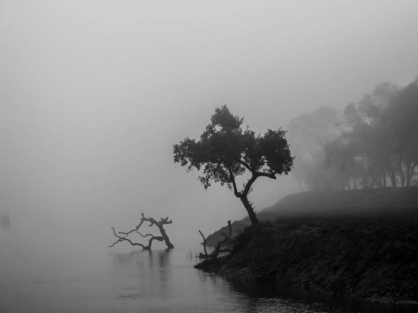 কলকাতায় সকালে পরিষ্কার আকাশ। বেলায় আংশিক মেঘলা আকাশের সম্ভাবনা। তাপমাত্রা স্বাভাবিকের উপরে। শীতের লম্বা স্পেল শেষের পথে। আগামী ২৪ ঘণ্টা পর্যন্ত তাপমাত্রা একইরকম থাকবে। শনি ও রবিবার ক্রমশ ঊর্ধ্বমুখী হবে পারদ। বাড়বে রাতের তাপমাত্রা। আকাশ আংশিক মেঘলা হওয়ার সম্ভাবনা।