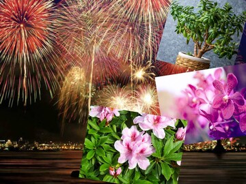 সুখ আসবেই, টাকাও আসবে...ছোঁবে না অভাব! আর সময় নেই, গাছগুলো এখনই না কিনলে লোকসান সুখ আসবেই, টাকাও আসবে...ছোঁবে না অভাব! আর সময় নেই, গাছগুলো এখনই না কিনলে লোকসান