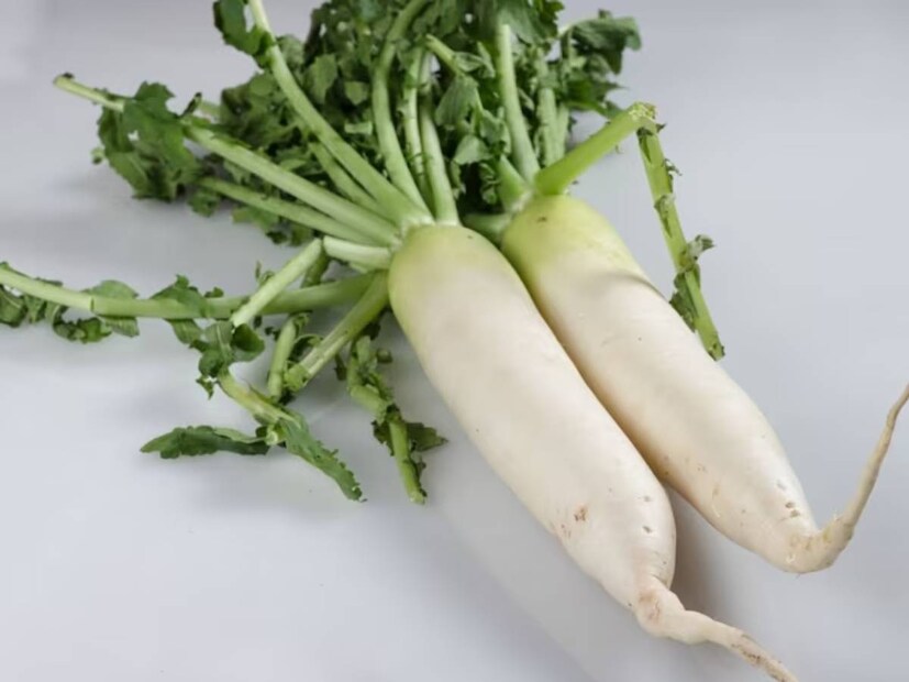 শীতকালে মুলো কমবেশি সকলের হেঁশেলেই উপস্থিত থাকে। এটি উপকারিতা সম্পর্কে অনেকেই জানেন। কিন্তু মুলোর পাতারও একাধিক পুষ্টিগুণ আছে। বিস্তারিত জেনে নেওয়া যাক। শীতকালে মুলো কমবেশি সকলের হেঁশেলেই উপস্থিত থাকে। এটি উপকারিতা সম্পর্কে অনেকেই জানেন। কিন্তু মুলোর পাতারও একাধিক পুষ্টিগুণ আছে। বিস্তারিত জেনে নেওয়া যাক।