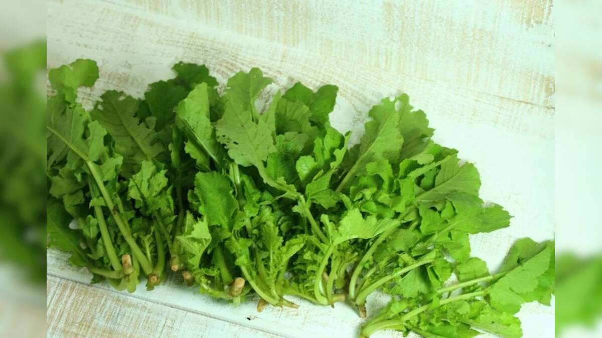 Benefits of Radish Leaves সবজিটি খেয়ে ফেলে দিচ্ছেন পাতা! সেটিই