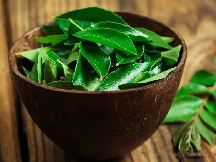 রান্নায় আলাদা মাত্রা এনে দেয় এই সামান্য পাতা৷ স্বাদ-গন্ধ দুইয়েই সেরা৷ কিন্তু, আমরা অনেকেই জানি না৷ ছোট্ট টবেও অনায়াসে ফলে যাওয়া এই পাতাতেও আছে দুর্দান্ত সব গুণ৷ কার্বোহাইড্রেট, ফাইবার, ক্যালসিয়াম, ফসফরাস, আয়রন এবং ভিটামিনের ভাঁড়ার৷ হজমেও সাহায্য করে৷ ব্যাকটেরিয়ার সংক্রমণ রোধে দুর্দান্ত কার্যকরী৷ আমাশয়ের মতো পেটের রোগেও দ্রুত উপশম ঘটায়৷