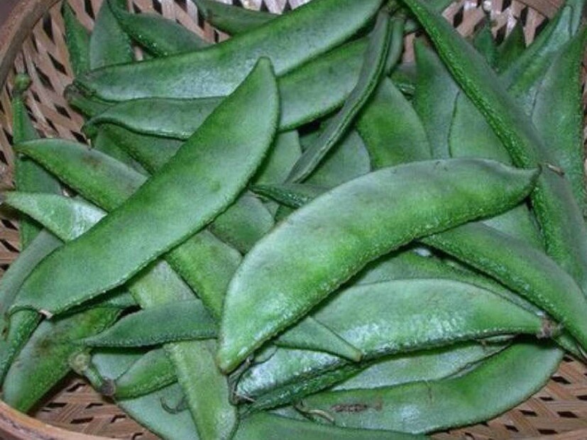 যাঁদের হাড়ের সমস্যা রয়েছে, অর্থাৎ, যাঁরা আর্থ্রাইটিস এবং অস্টিওপরোসিসের মতো অনেক রোগের আক্রান্ত, তাঁদের ক্ষেত্রে শিম অত্যন্ত উপকারী সবজি। এতে থাকে আয়রন, ভিটামিন এ, কে এবং সিলিকনের মতো জিনিস, যা আমাদের বাড় মজবুত করতে সহায়তা করে। সিলিকন এমন একটি জিনিস যা খুব বেশি সবজিতে পাওয়া যায় না৷ শিমে অত্যন্ত বেশি পরিমাণে থাকে এই দ্রব্য৷ 