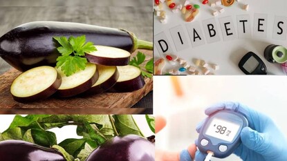 নানা ধরনের বেগুন পাওয়াও যায় শীতের মরশুমে নানা ধরনের বেগুন পাওয়াও যায় শীতের মরশুমে