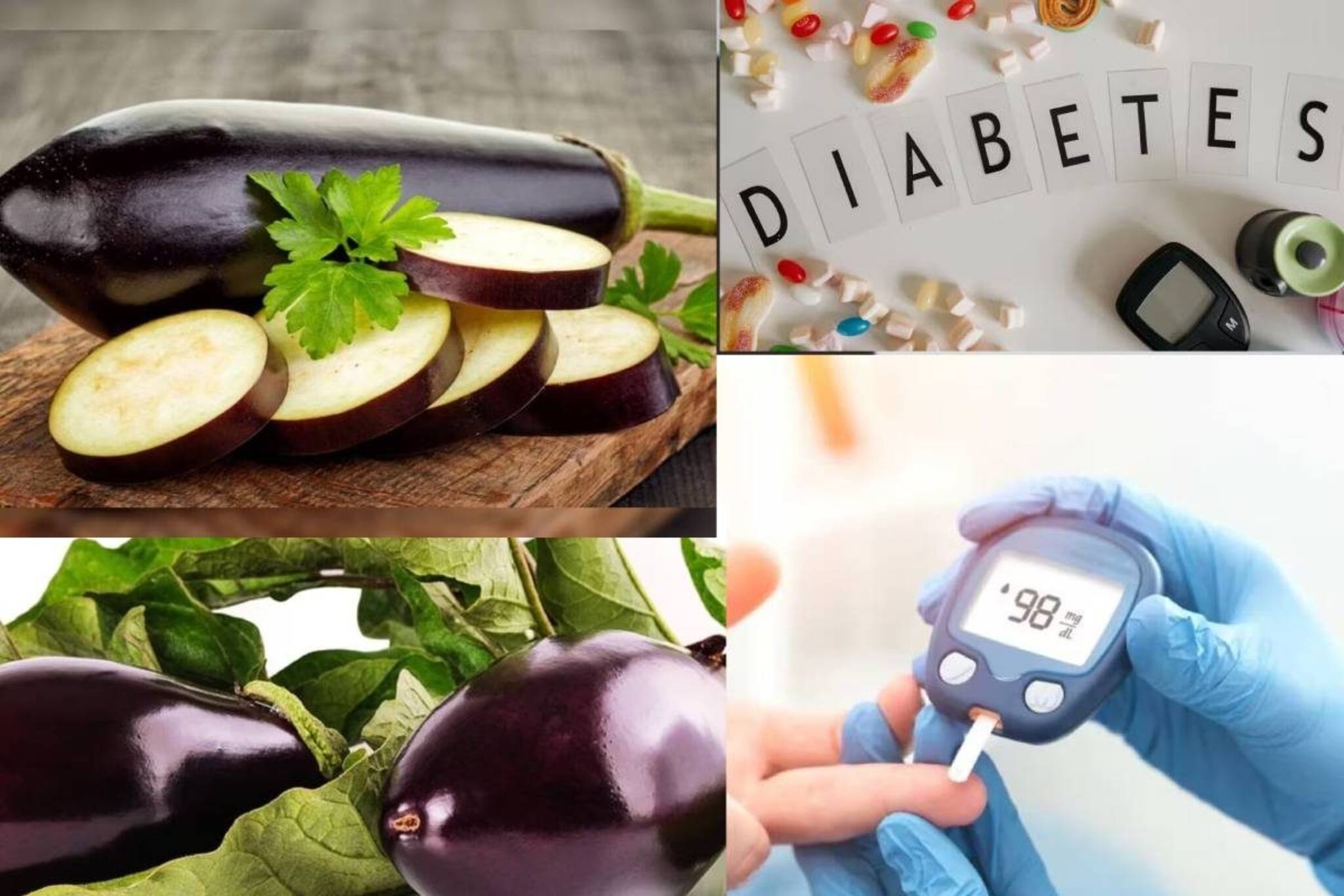 ব্লাড সুগারে কি বেগুন খাওয়া যায়? জানুন পুষ্টিবিদের মত