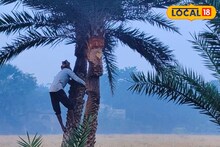 খাঁটি নলেন গুড় কীভাবে তৈরি হয় দেখেছেন কখনও?