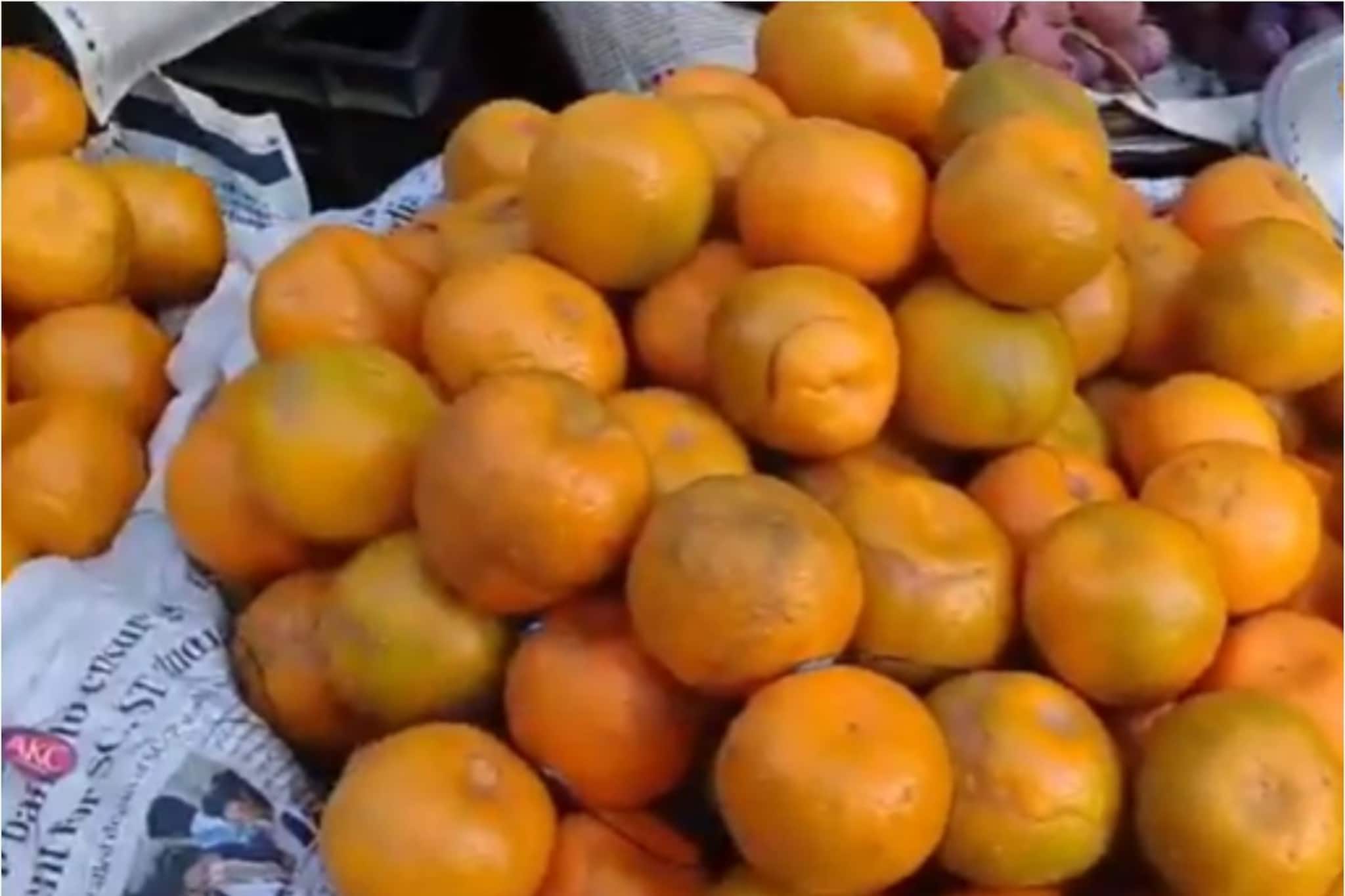 বাজারে দার্জিলিঙের কমলার বদলে ভরে গিয়েছে এই লেবুতে, দেখুন ভিডিও