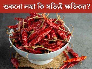 শুকনো লঙ্কা কি আদৌ ক্ষতিকর? আসল সত‍্যি না জেনে বড় ভুল করছেন না তো? 
