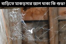 বাড়িতে মাকড়সার জাল থাকা কি আদৌ শুভ? জ্যোতিষ কিন্তু একটা বিষয়ে সাবধান করছে