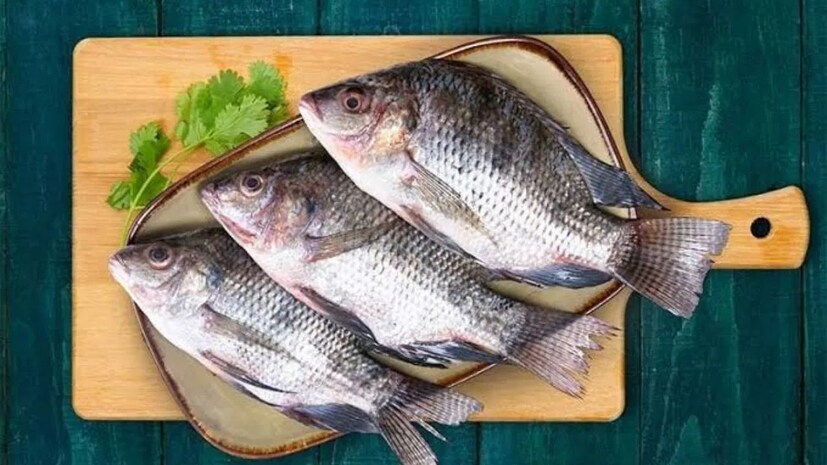 আর্সেনিক বিষাক্ততা : গবেষণায় জানা গিয়েছে যে তেলাপিয়াতে আর্সেনিক পাওয়া যায় যা স্বাস্থ্যের পক্ষে অত্যন্ত ক্ষতিকর। বিশ্বাস করা হয় যে শরীরে আর্সেনিকের উচ্চ মাত্রা ক্যান্সারের ঝুঁকি বাড়াতে পারে। জেনে রাখা ভাল এছাড়াও বিভিন্ন সামুদ্রিক খাবার, সামুদ্রিক মাছ এবং এমনকি অন্যান্য বেশ কিছু খাদ্যদ্রব্যেও আর্সেনিক পাওয়া যায়।