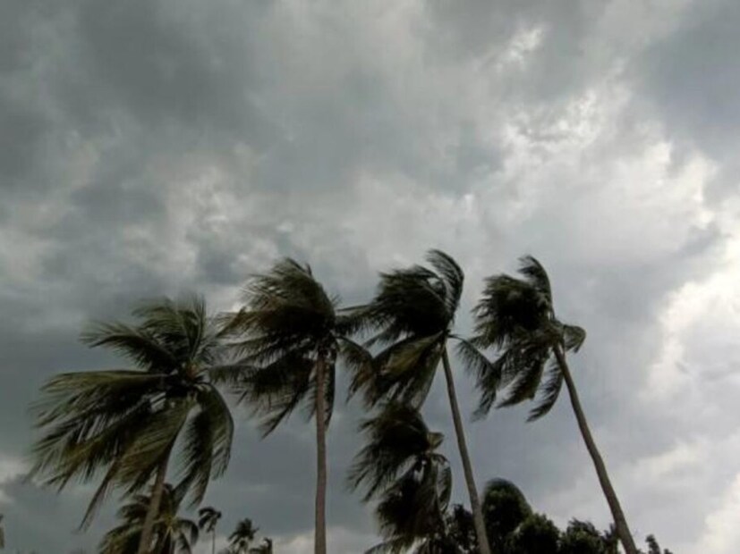 স্থানীয় আবহাওয়া দফতর আলিপুর জানাচ্ছে, দক্ষিন বাংলাদেশে ঘূর্ণাবর্তের জের। দক্ষিণা ও পুবালি হাওয়ার দাপট বাড়বে। কিন্তু উত্তুরে হাওয়া কার্যত গায়েব। পুবালি হাওয়ায় জলীয় বাষ্প ঢুকছে সাগর থেকে। যার ফলে আংশিক মেঘলা আকাশের সম্ভাবনা।
