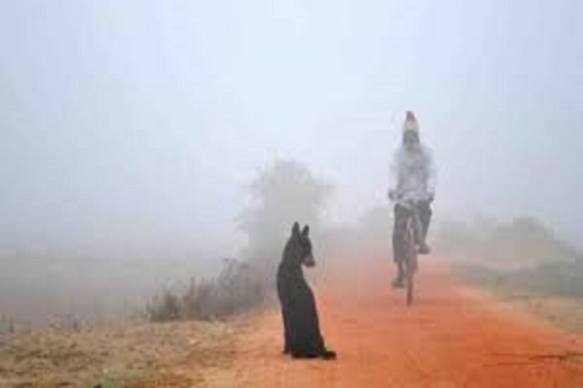 উত্তরদিনাজপুর : মেঘলা আকাশ। হালকা শীতের অনুভূতি। তাপমাত্রা ১৭ ডিগ্রি সেলসিয়াস। বেলা বাড়ার সাথে সাথে তাপমাত্রা বাড়ার সম্ভাবনা।