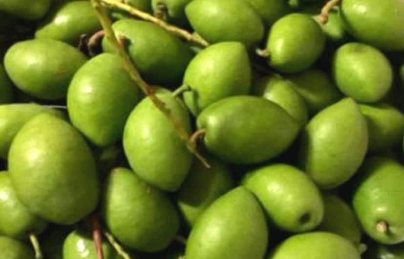 ত্বকের ক্যানসার এবং অকালে বুড়িয়ে যাওয়া বা জরার ছাপ পড়ার মতো সমস্যার হাত থেকেও মুক্তি পাওয়া যায়৷ সরাসরি খাওয়ার পাশাপাশি অলিভের তেল বা অলিভ অয়েলও কাজে লাগাতে পারেন ত্বকচর্চার ক্ষেত্রে৷