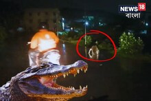 জলে চেন্নাই, ডাঙায় কুমির! এই ভিডিও দেখলে বিশ্বাস হবে না
