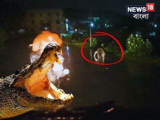 ভাইরাল ভিডিও