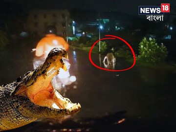 ভাইরাল ভিডিও