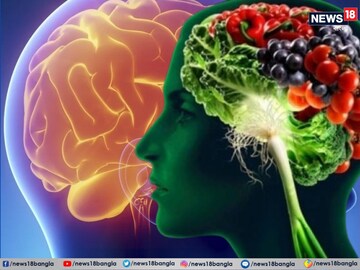 ব্রেনের 'ব্রহ্মাস্ত্র'! এই খাবারগুলো খেলেই মস্তিষ্ক হবে চিতাবাঘের চেয়েও তীক্ষ্ণ