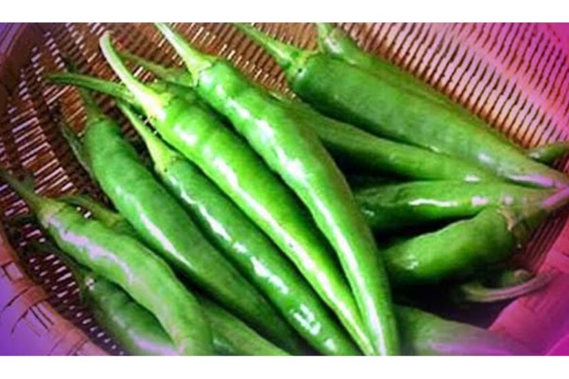 কাঁচালঙ্কা ঝাল হয় ক্যাপসাইসিন জৈব যৌগের জন্য। এই অ্যান্টিঅক্সিড্যান্ট কোলেস্টেরল মাত্রা ও স্থূলতাকে নিয়ন্ত্রণ করে। অতিরিক্ত মেদকে কমিয়ে ওজন ঝরাতে সাহায্য করে।
