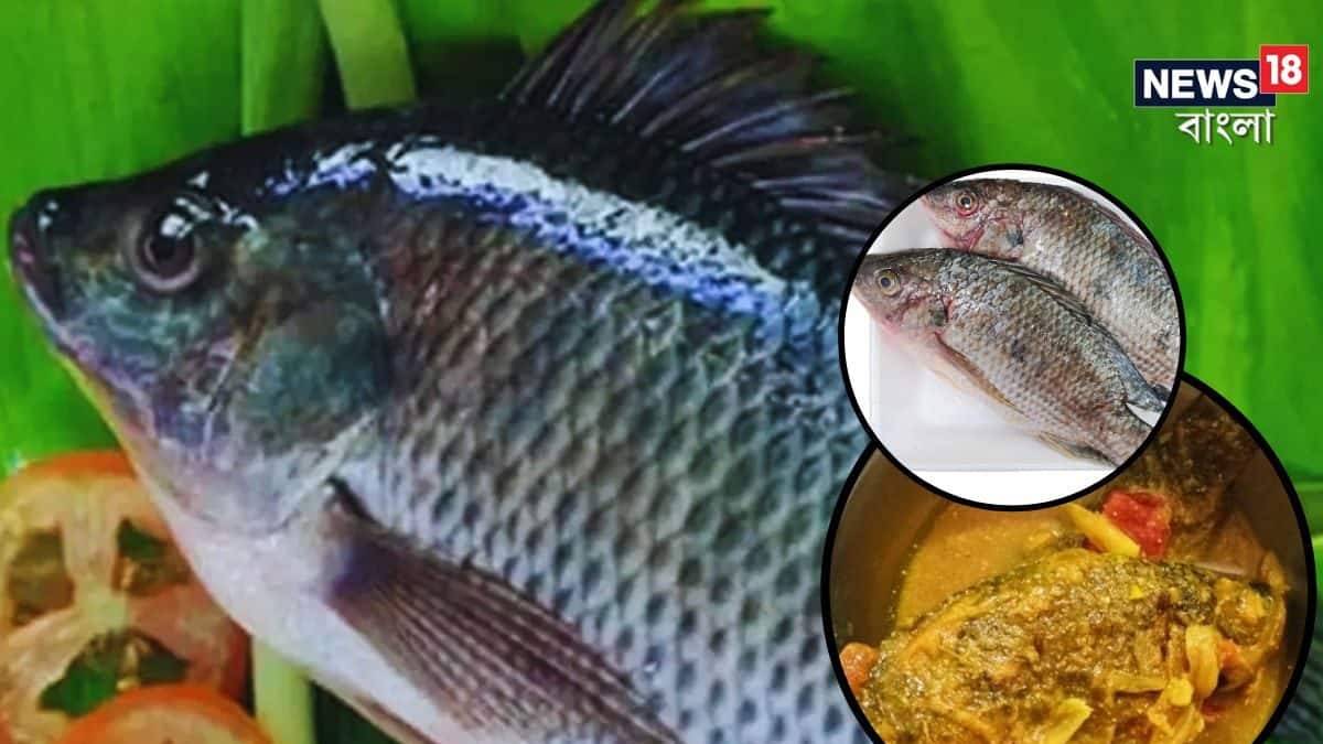 Telappa Fish Tilapia Telapia Fish Effect: তেলাপিয়া মাছ প্রিয়...? আবার 'ছোঁওয়ার ...