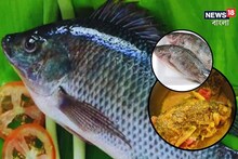 তেলাপিয়া মাছ প্রিয়...? খেলে শরীরে কী হয় জানেন? আবার 'ছোঁওয়ার' আগে অবশ্যই জানুন