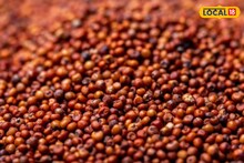 এক দানা শস্যে তড়তড়িয়ে পালাবে রোগ! ডায়বেটিস সহ একগুচ্ছ রোগ হবে ভ্যানিশ