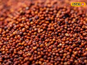 এক দানা শস্যে তড়তড়িয়ে পালাবে রোগ! ডায়বেটিস সহ একগুচ্ছ রোগ হবে ভ্যানিশ