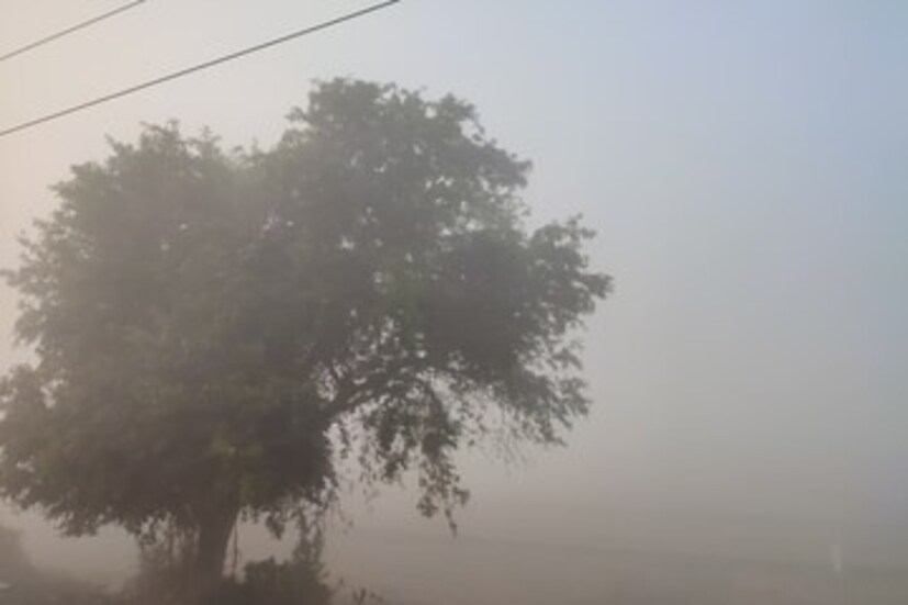  বৃহস্পতিবার সকালে বাগডোগরায় সর্বনিম্ন তাপমাত্রা ছিল ৯.৮ ডিগ্রি সেলসিয়াস। বালুরঘাটে ছিল ১৪.৫ ডিগ্রি সেলসিয়াস। কোচবিহারে ১০.১ ডিগ্রি সেলসিয়াসে নামে পারদ।