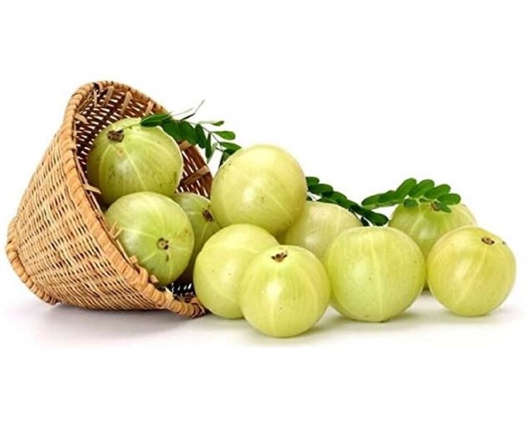 বিভিন্ন ভাবে আমলকি খাওয়ার নিয়ম-তাজা আমলকি, আচার, মোরব্বা, চাটনি, মিছরি, গুঁড়ো, জুস এবং অন্যান্য অনেক রূপেই খাওয়া যায়। কচ্ছ বা ভুজ অঞ্চলের মানুষরা রোজকার খাবারে আমলকি রাখেন। সেখানকার এক বাসিন্দা জানান, কাঁচা আমলকি খাওয়া উপকারী। শিশু বা বড়রা সকলেই আমলকির মিছরি, রস, আমলকির গুঁড়ো ইত্যাদি খেতে পছন্দ করেন।