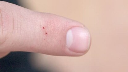 প্রতীকী চিত্রপ্রতীকী চিত্র প্রতীকী চিত্রপ্রতীকী চিত্র