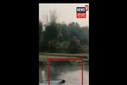 আলিপুরদুয়ারে লোকালয় থেকে জঙ্গলে ভাল্লুক, তাড়া খেয়ে সাঁতরে জলাশয় পারাপার