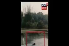 আলিপুরদুয়ারে লোকালয় থেকে জঙ্গলে ভাল্লুক, তাড়া খেয়ে সাঁতরে জলাশয় পারাপার