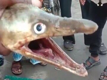 এ